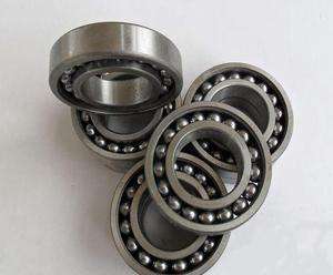 306TN-Z Bearing