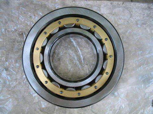 Classy conveyor idler bearing 6310C3